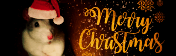 PlayPointless Podcast – Ep.106 Weihnachten 2018