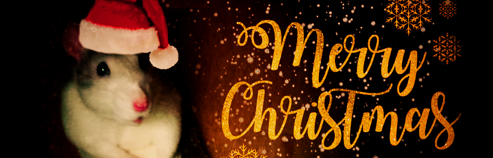 PlayPointless Podcast – Ep.106 Weihnachten 2018