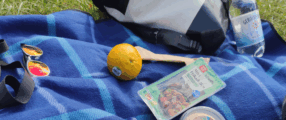 Laser Show 82: Picknick im Park mit Podcast